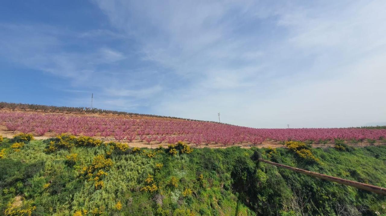 ميتولا Villa Sabag At Metulla المظهر الخارجي الصورة