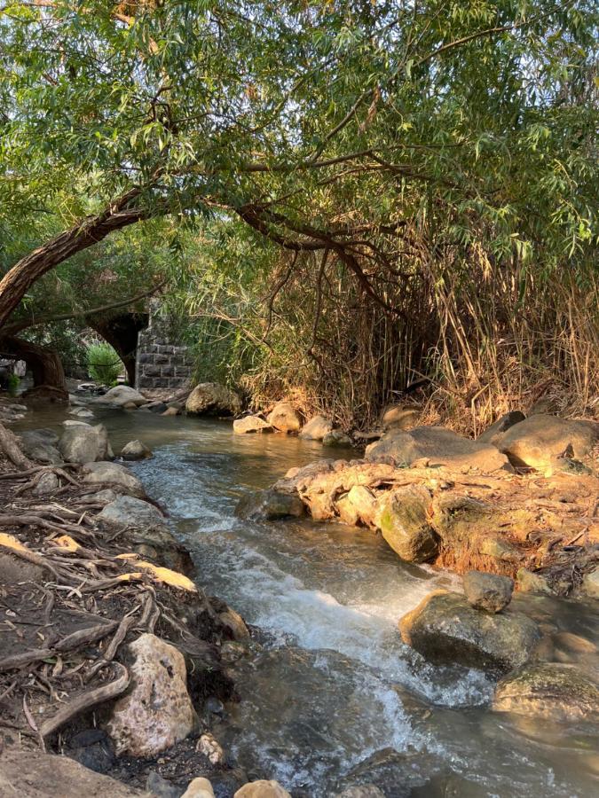 ميتولا Villa Sabag At Metulla المظهر الخارجي الصورة